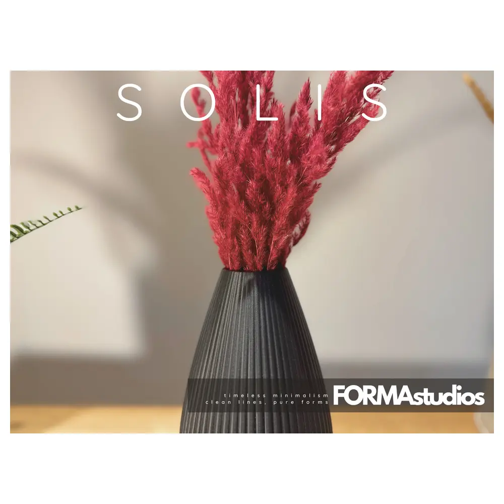 Solis Vases Decorative Vases Creative Centerpieces Home Decor Art Ceramic Vases Planters