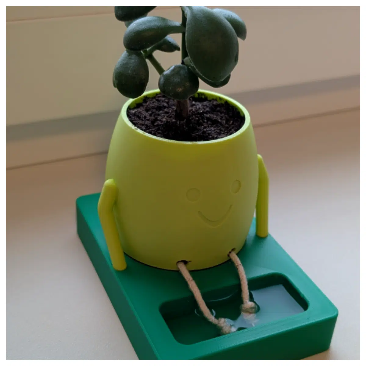 Decorative Flower Pots Creative Home Decor Planter Flower Arrangement Indoor Plants Greenery Floral Design