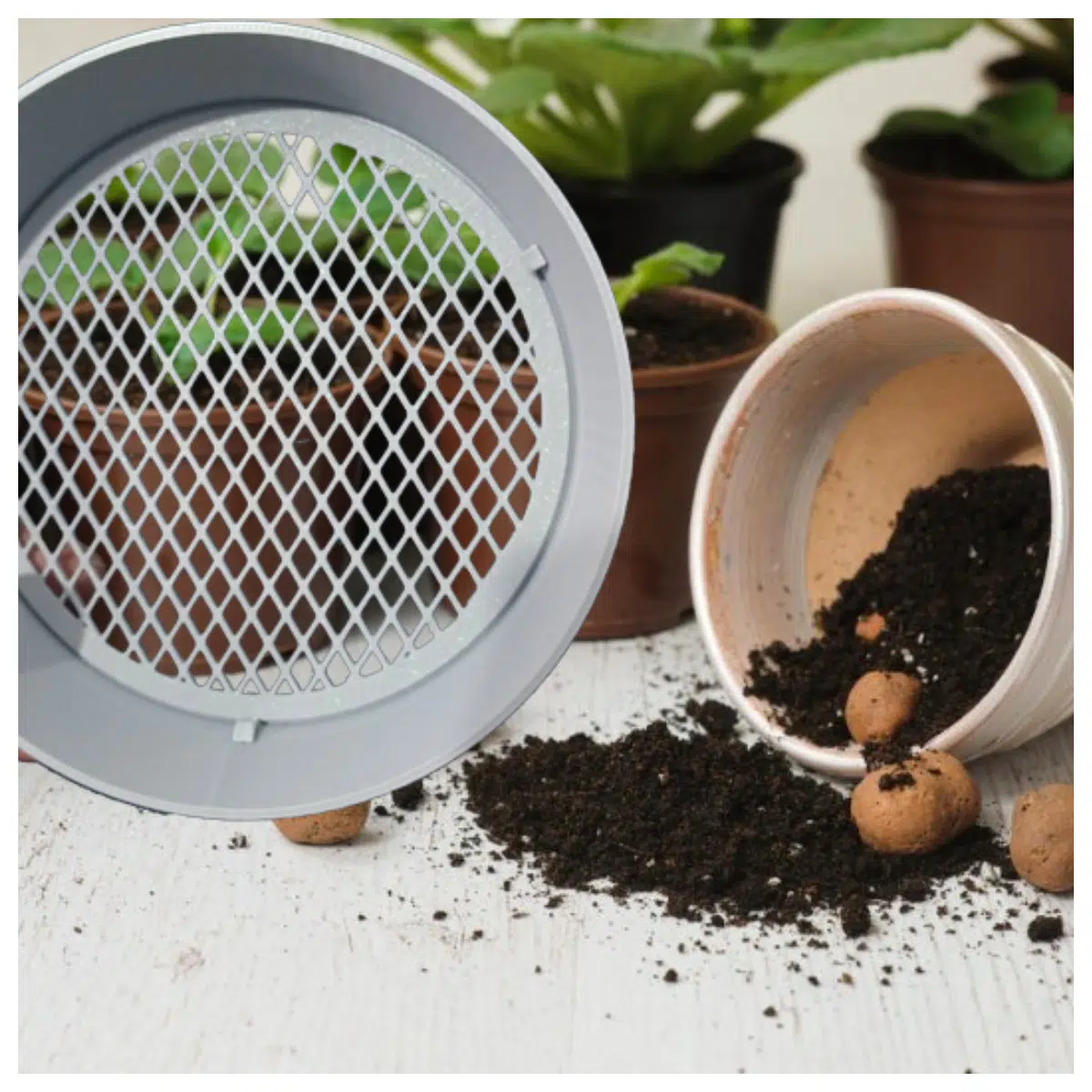 Gardening Soil Sifter Set of 3 Soil Screening Filter for Plants Gardens Soil Sieves