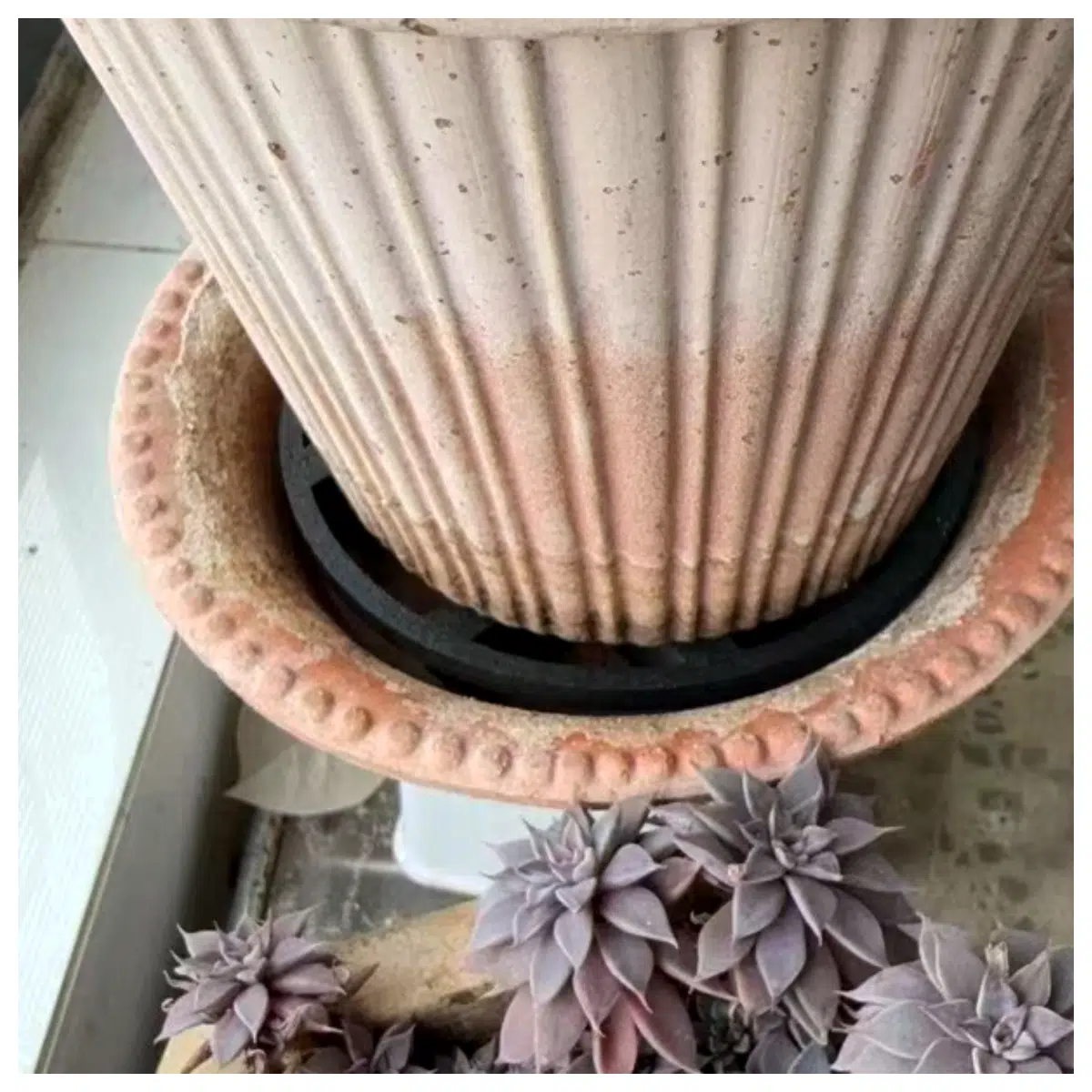 Pot Base Root Rot Prevention Plant Root Support Growth Flower Pot Stand Soil Support System