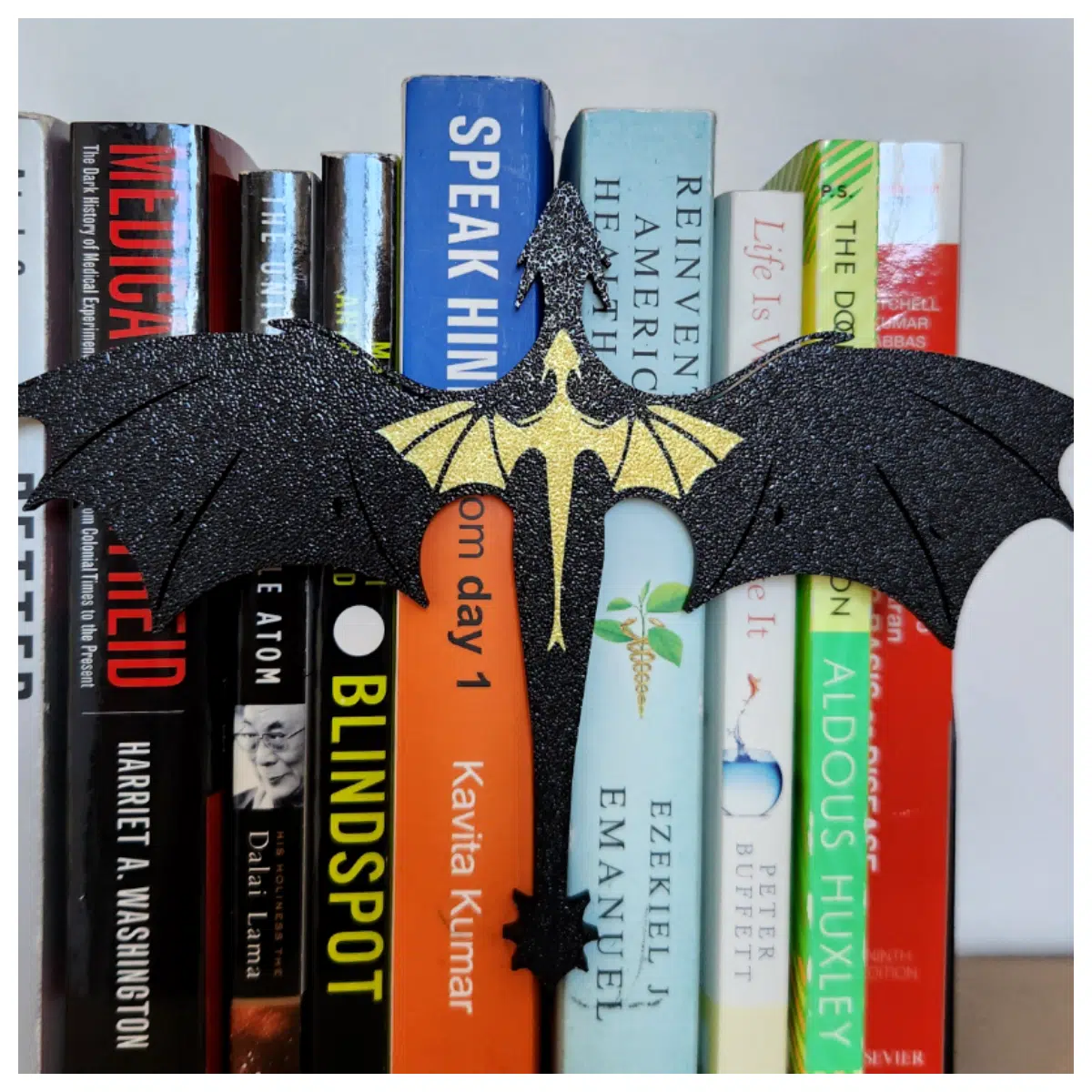 Fourth Wing Dragon Shelf Plugin Installation Decoration Shelving Storage Space Optimization