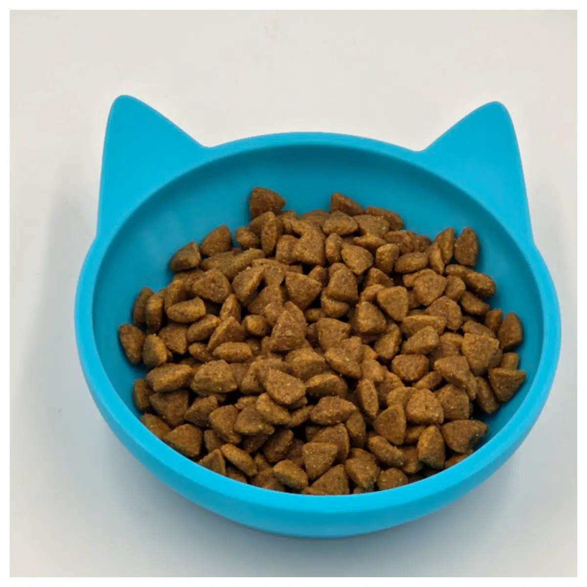 Cat Bowls Ceramic Pet Food Dishes Universal Feeding Bowls Cat Bowls Food Bowls Bowls Automatic Feeders Accessories