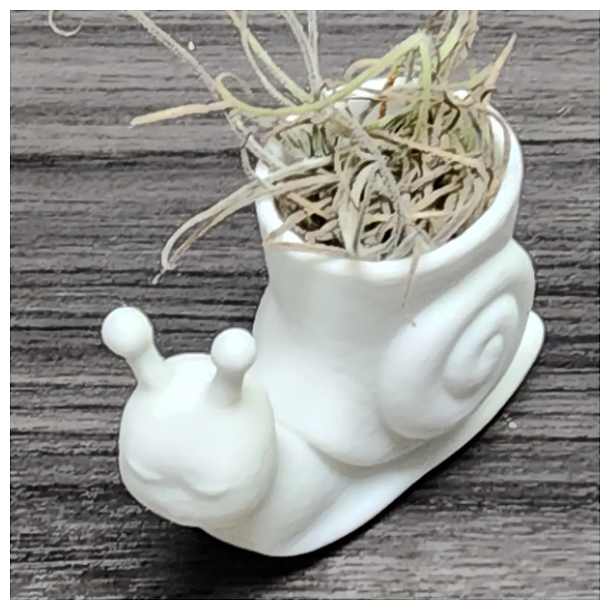 Cute Mini Snail Planter Creative Decoration Flower Pot Plant Holder Gardening Snail Home Decor