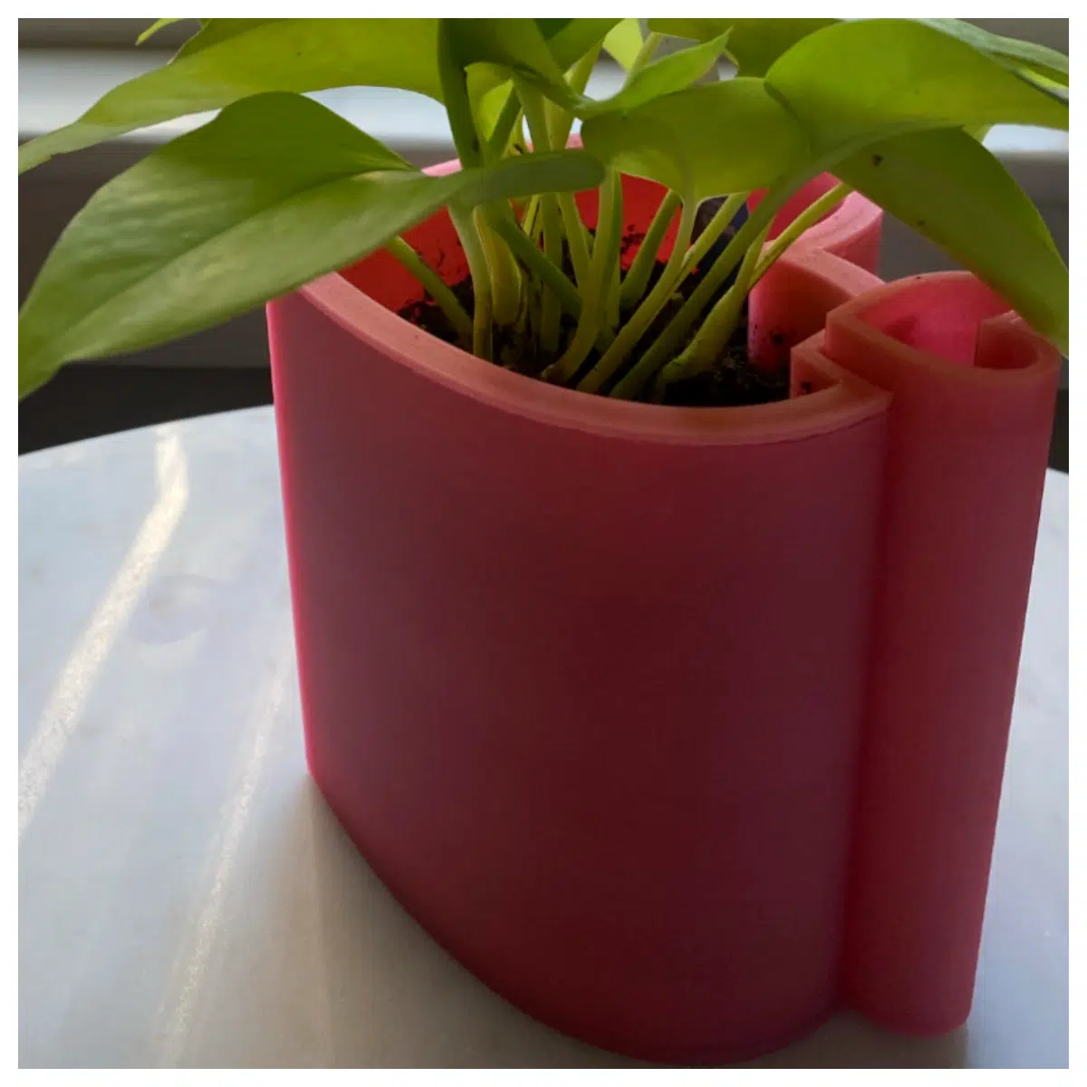 Self Watering Shaped Planter Succulents Houseplants Indoor Garden Decorative Pots Automatic Watering System