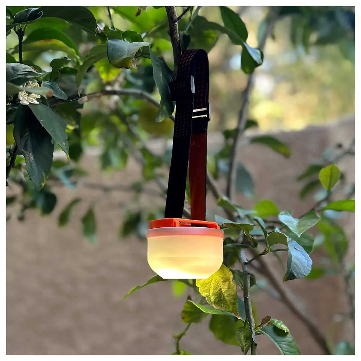 TrailBeam Lantern Headlamp to Lantern Converter Lantern Outdoor Lighting Flashlight Sports Outdoors