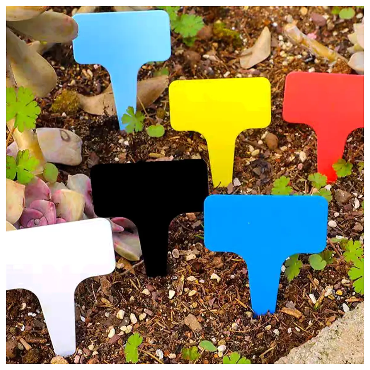 Plant Tags Garden Tags Plant Protection Labels Promotional Tags Discount Tags Agricultural Tags