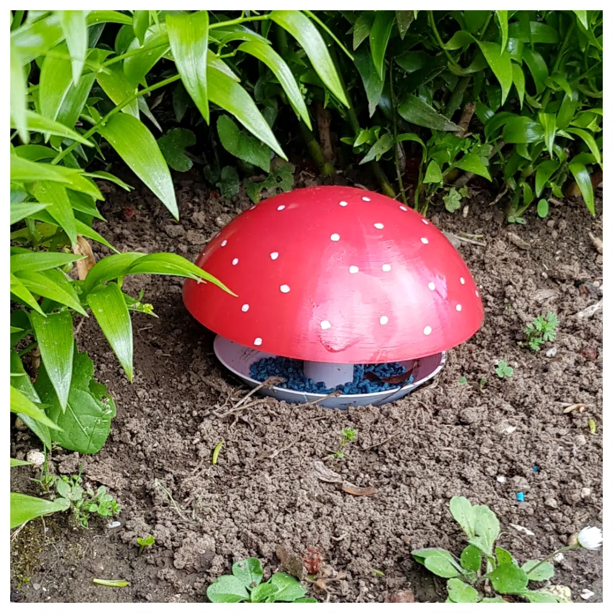 Mushroom Snail Trap Slug Trap Capture Slugs Control Outdoor Gardening