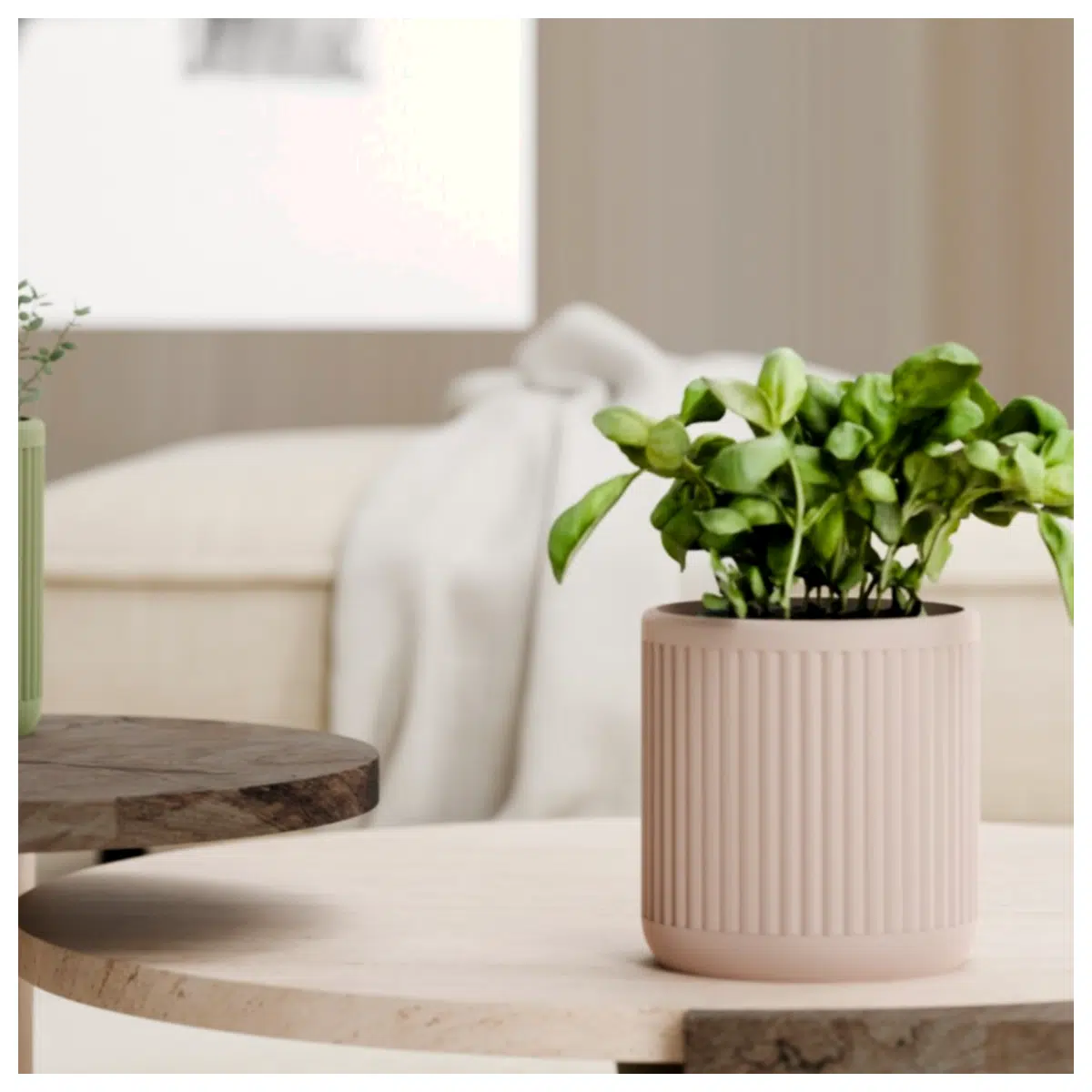 Minimalist Tray Planter Simple Indoor Plant Pot Creative Garden Decor Tray Planting Desktop Greenery Flower Pot