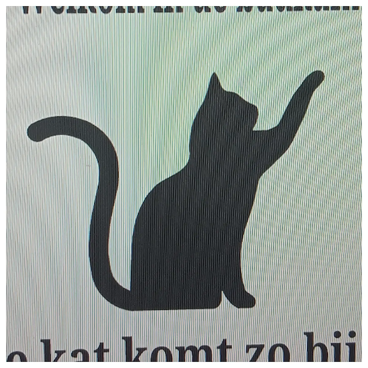 Cat Litter Box Netherlands Pet Urine Odor Removal Automatic Cat Litter Box Netherlands