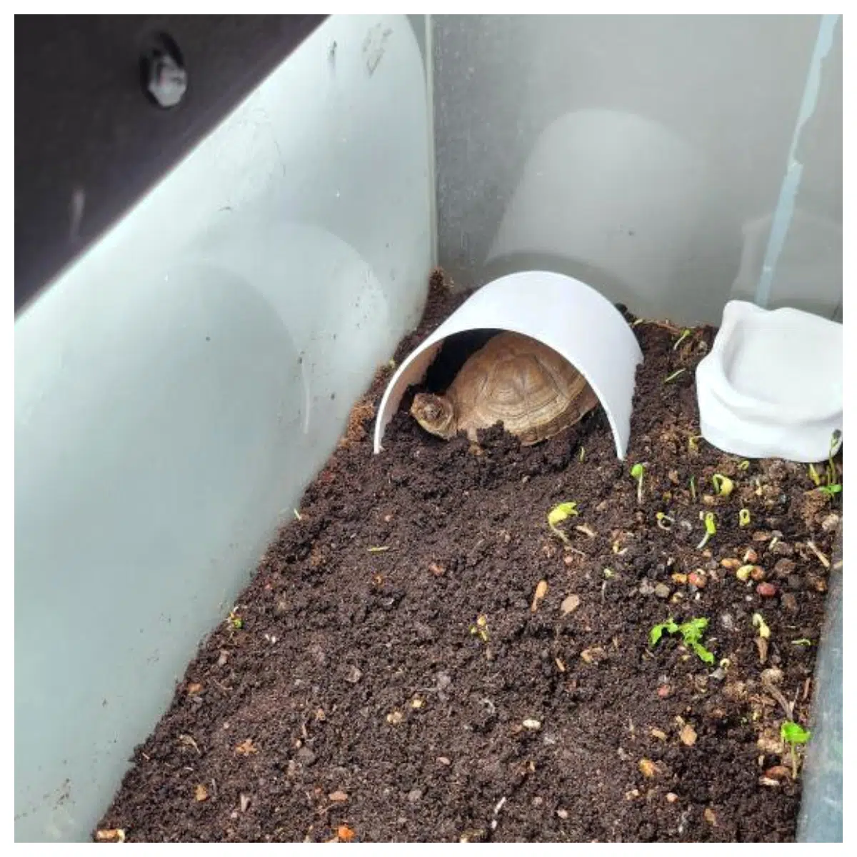 Hide Box Shell Shelter Climbing Protection Enclosure Pet Shell Guard