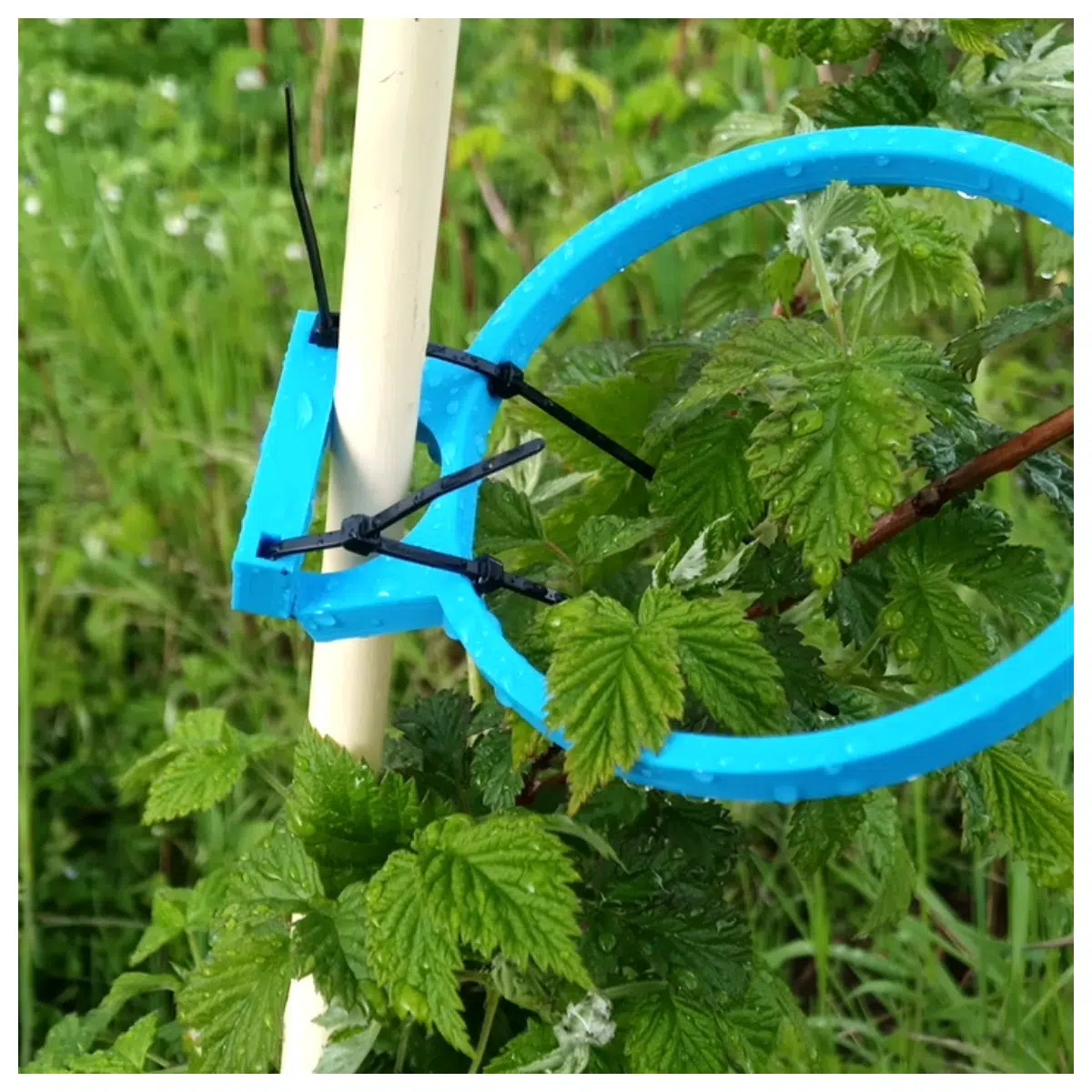 Tomato Support Stake Garden Stake Plant Support Vegetable Support Flower Stake Indoor Planting Multi Tiered Stake
