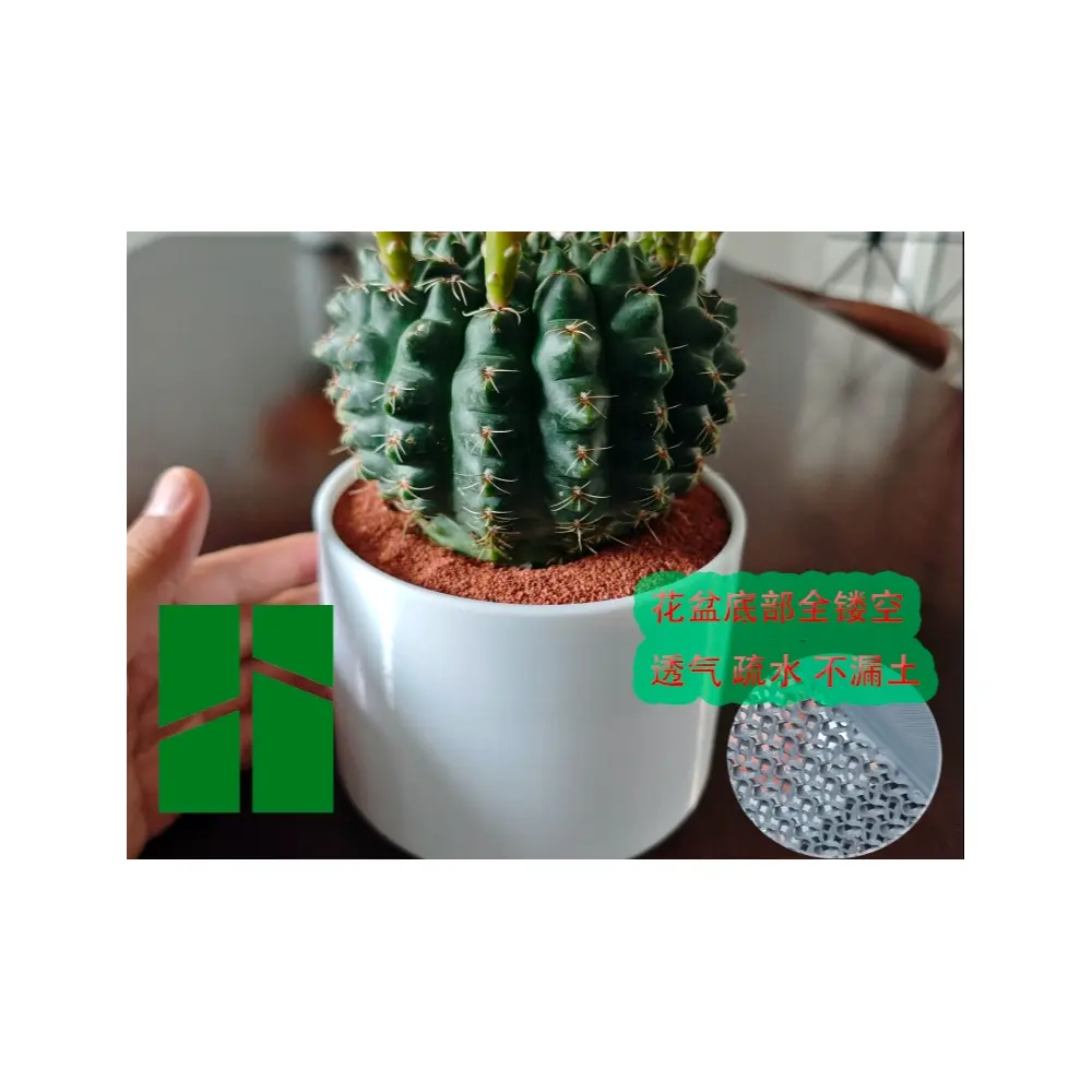 Simple Flower Pot Bottom Drainage Water Repellent No Soil Leakage Flower Pot Base Ventilation Planter Flowers Simple Flower Box