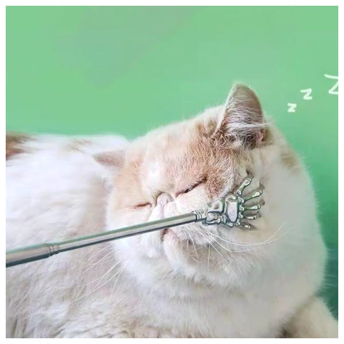 Kyangyangrao Doudihao Hand Grip Universal Cat Scratcher Toy Multi functional Pet Scratching Post Relief Stress Cat Toys