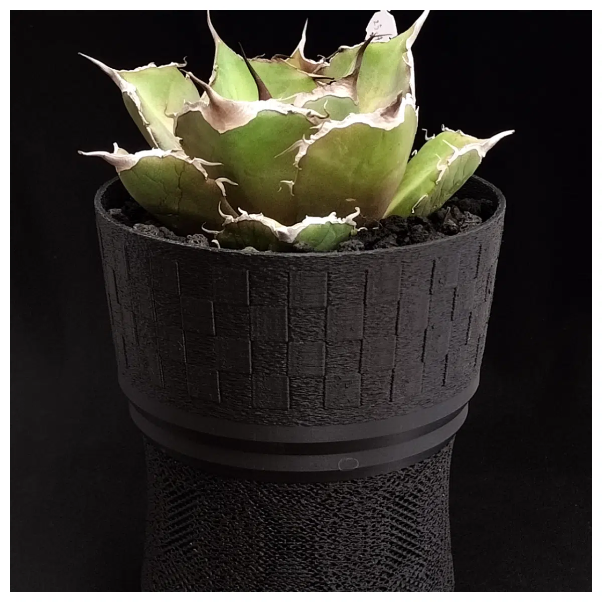 Agave Plant Pot Woven Mesh Pattern Succulent Decoration Indoor Greenery Desktop Accent Garden Decor z038