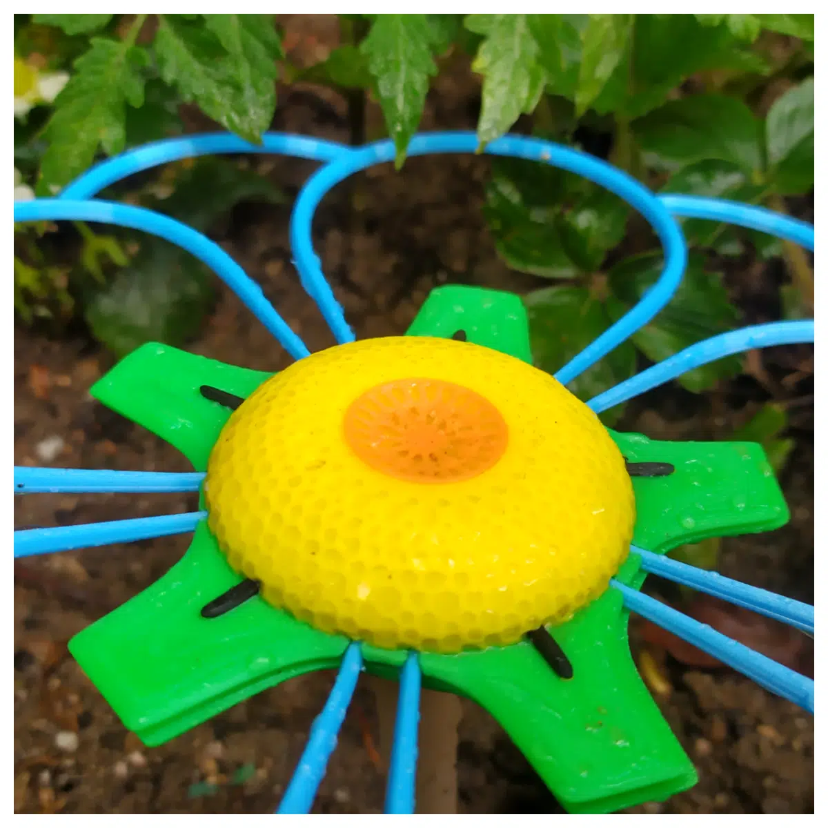 Feeder Feeding for Butterflies Garden Feeding Tool Supplies Flower Feeder