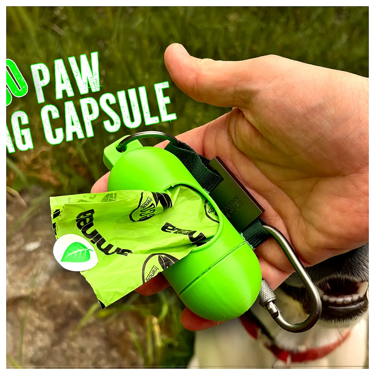 Eco Friendly Pet Capsules Pet Treats Dog Treats Cat Treats Nutritional Supplement Pet Health