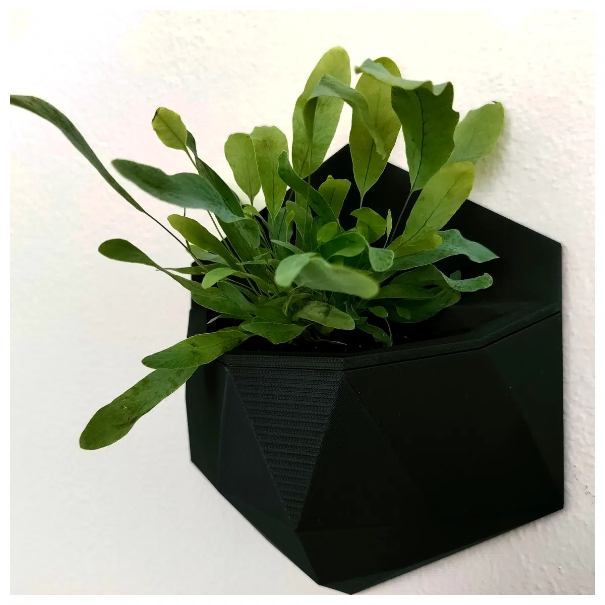Low Poly Hexagonal Wall Planters Wall Decoration Indoor Garden Hanging Flower Stand Hexagon Planters Modern Minimalist