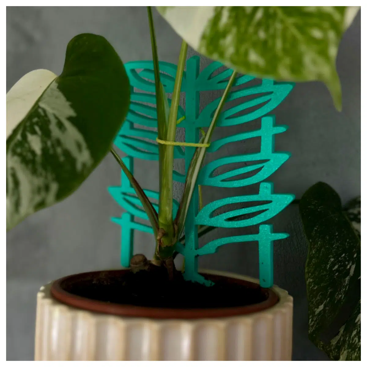 Leaf Shape Support System Modern Support Structure Plant Gardening Green Wall Vertical Garden Accessories