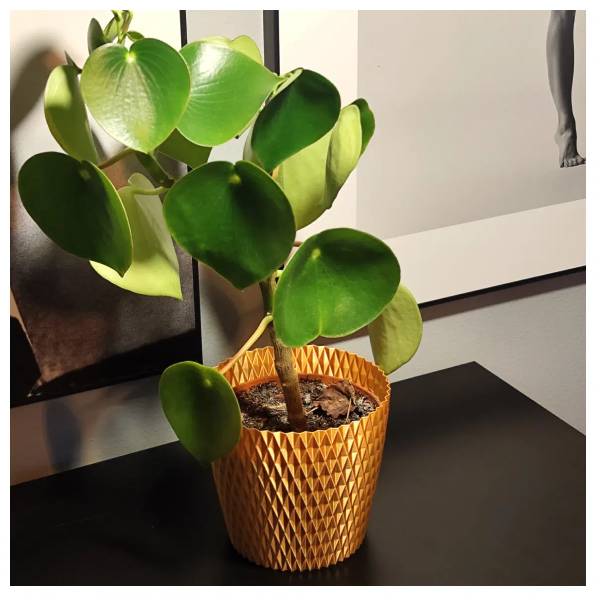Geometric Planter Elegant Simple Decor Creative Planter Planting Potted Plant Garden Decoration