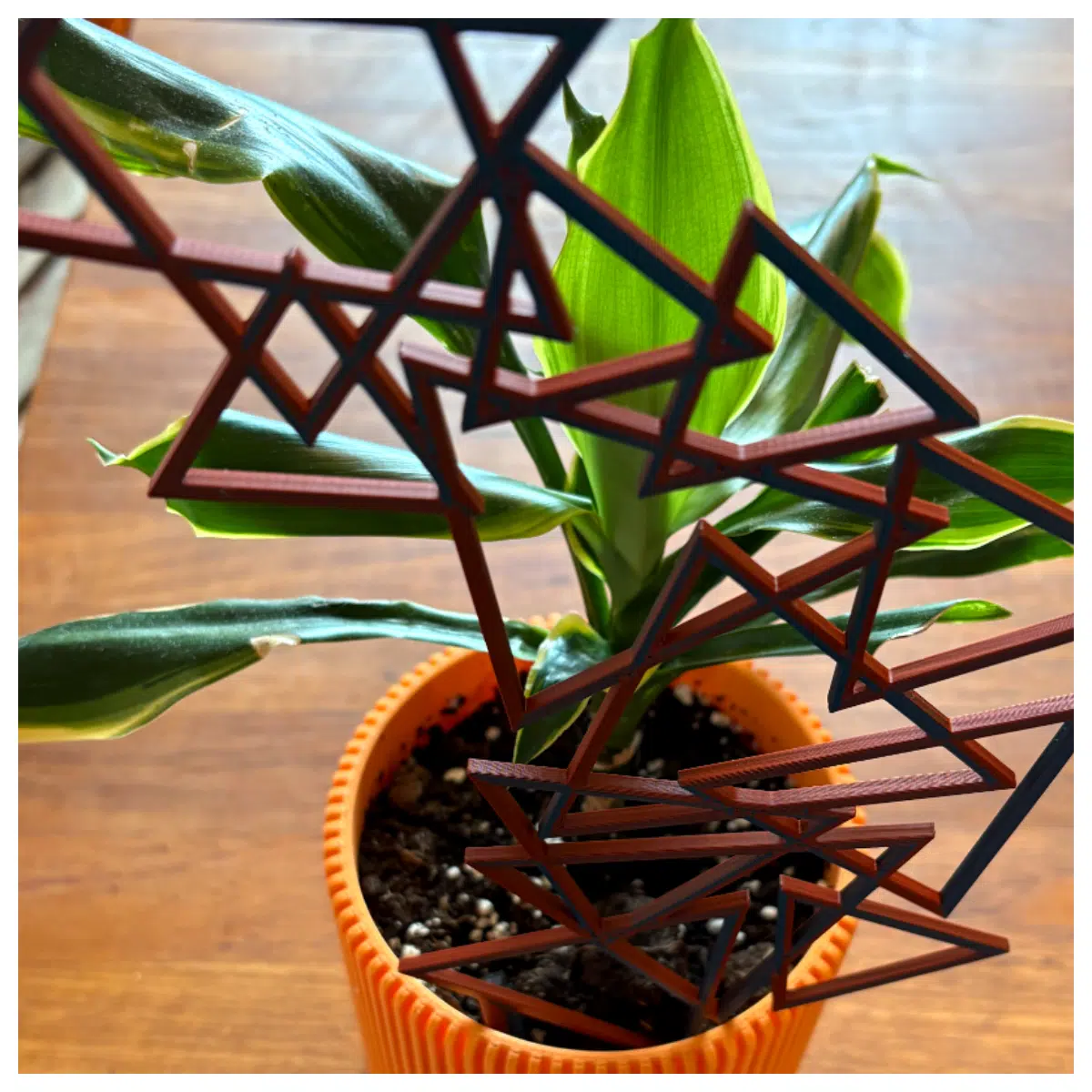 Modern Triangular Plant Stand Indoor Garden Support Floral Display Shelf Succulent Holder Decorative Stand