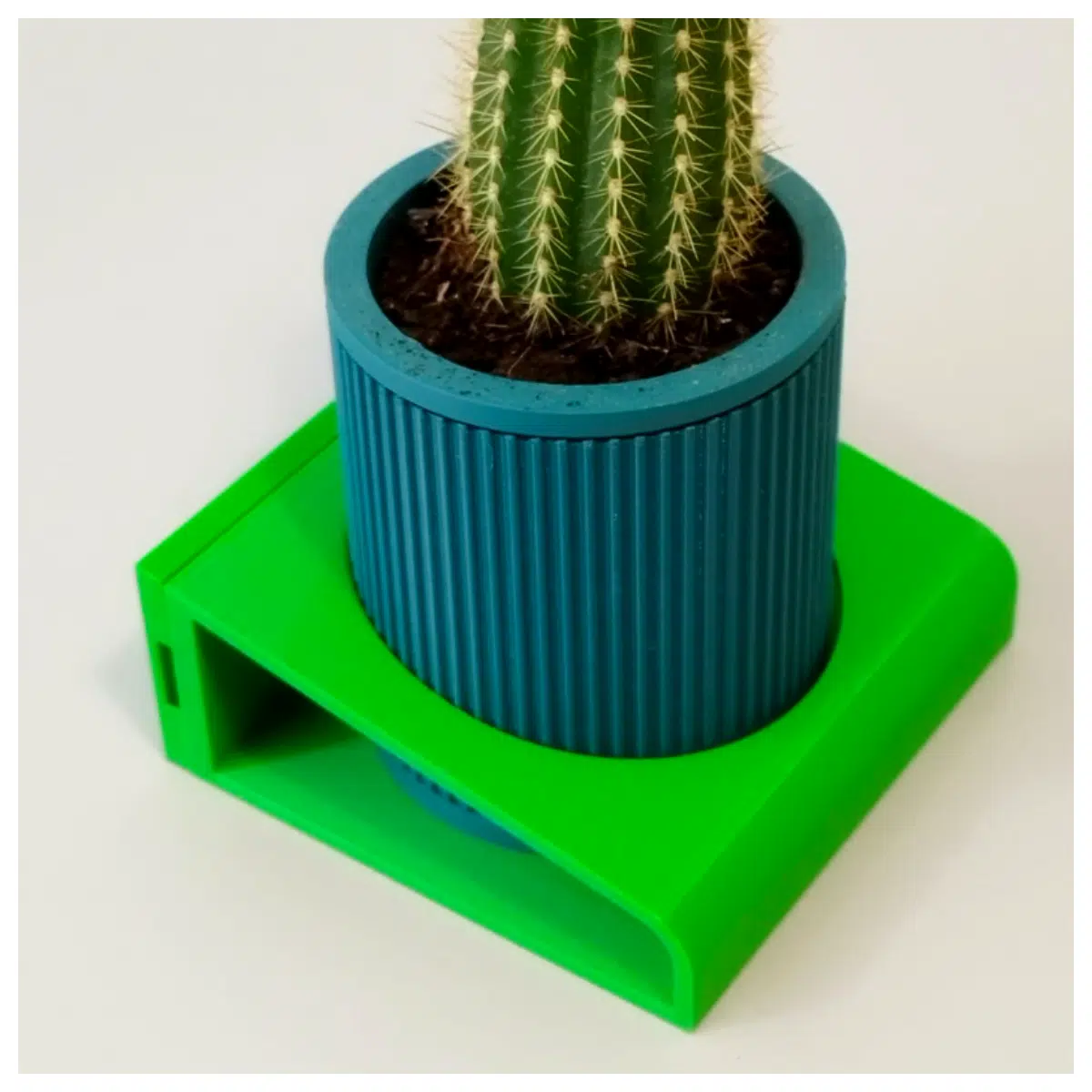 Round Mini Flower Pots Wall Mounted Shelves Decorative Flower Rack Indoor Garden Succulents Potted Plants Green Plants