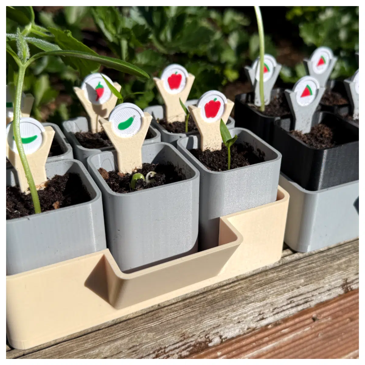 Self Watering Seed Starter Tray Marked Cells Vegetable Seed Propagation Pot Plant Germination Seedling Starter Growing Container