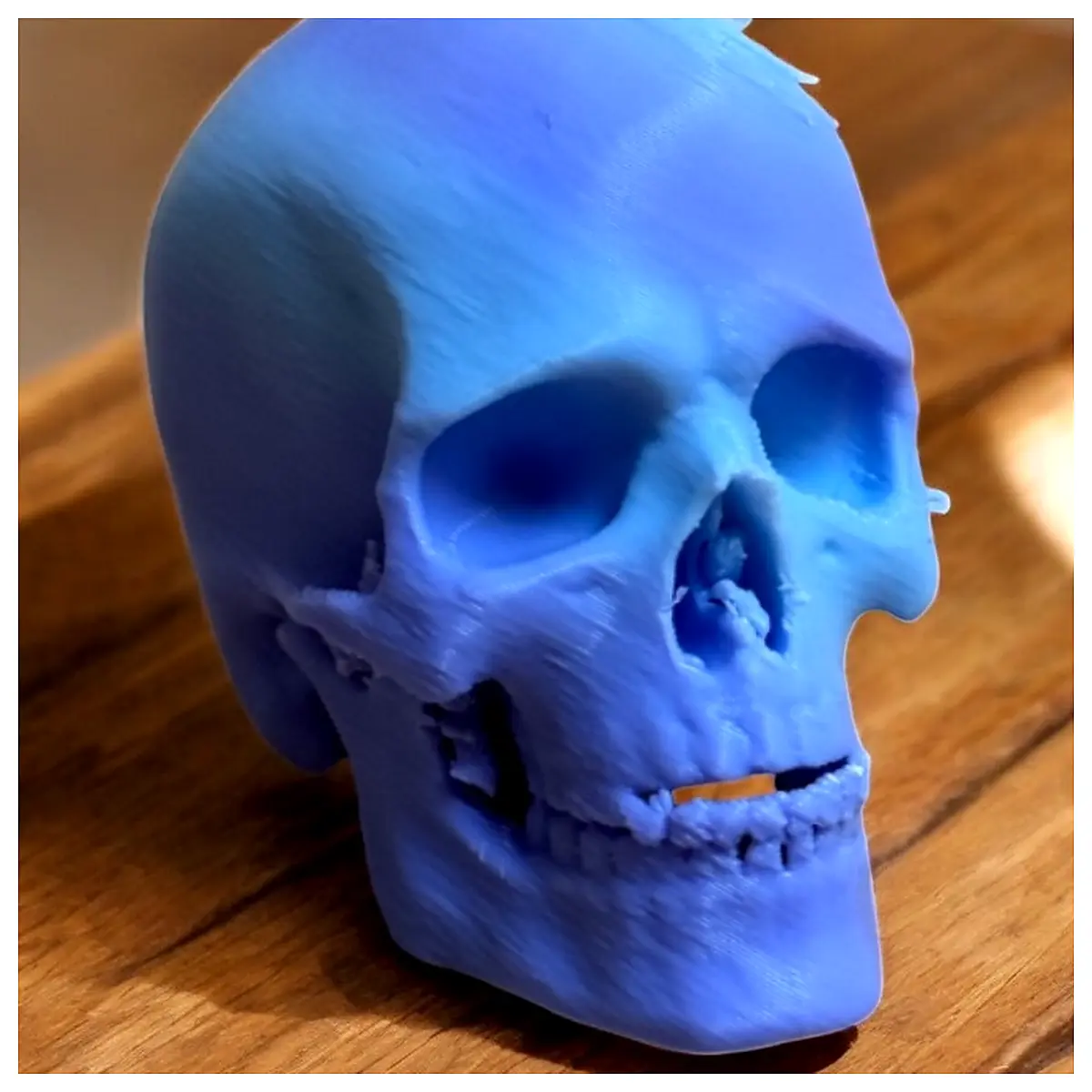 Realistic Skull Decoration Skeleton Model Decorative Props Festival Decor Creative Gift