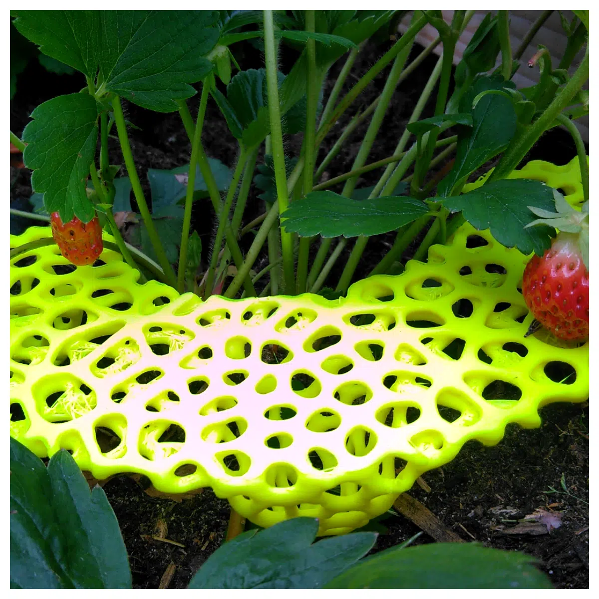 Strawberry Cradle Mesh Barrier 0 36 Months Baby Car Seat Protector Netting Safety Crib Bedding Mesh Cradle Barrier