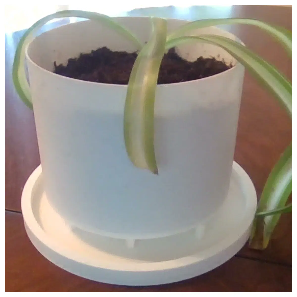 Mother s Day Planters Potted Plants Creative Planters Mother s Day Gift Give Mom Floral Pot Decor