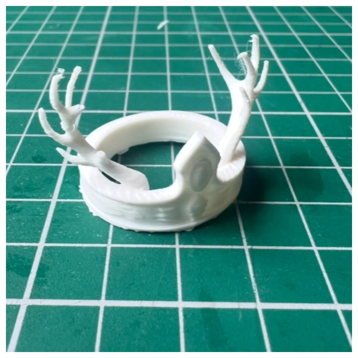 deer head wall mount trophy with antlers for living room rustic cabin decor hunting memorial gift