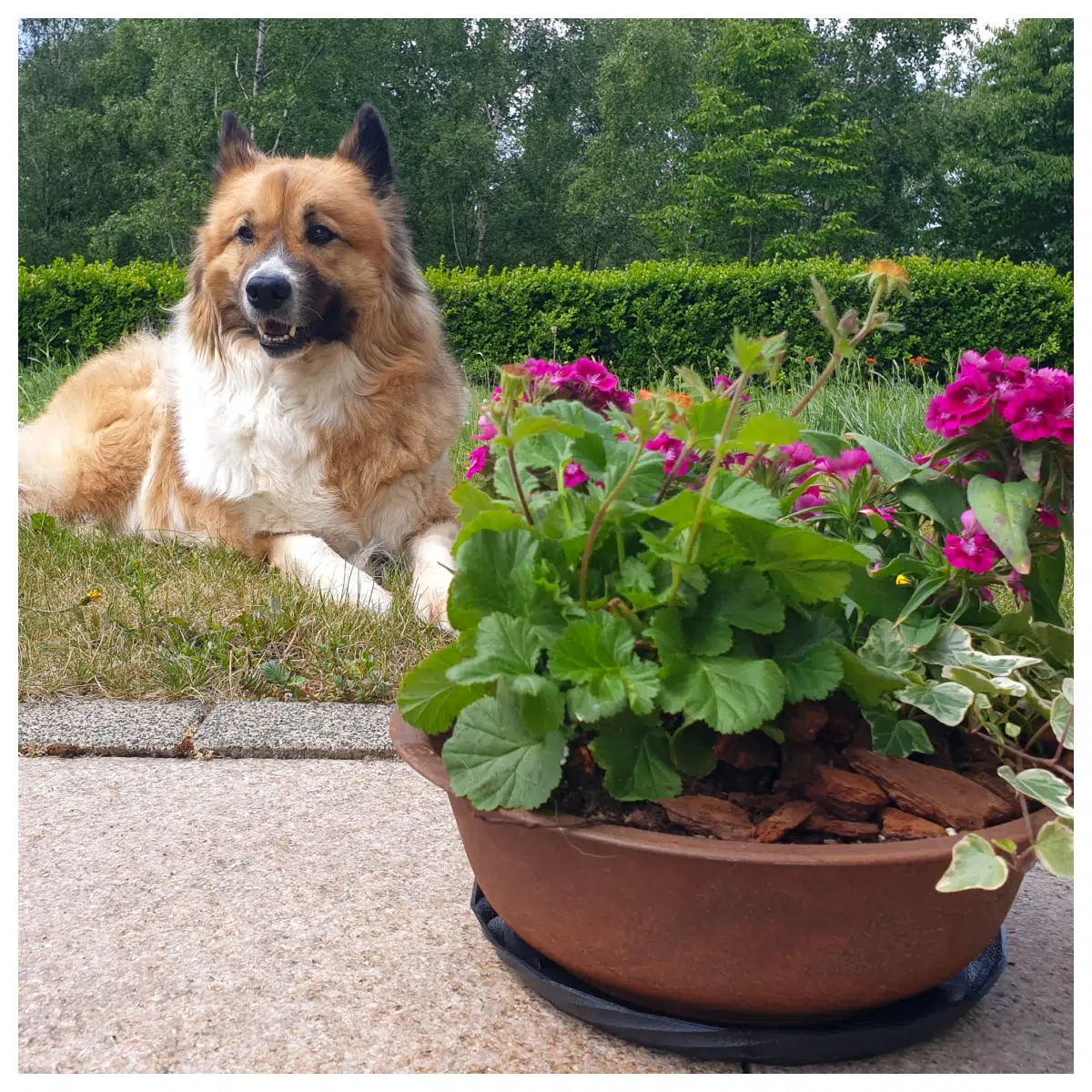 Pot Base Support Stand Flower Pot Stand Plant Stand Support Stability Planting Support