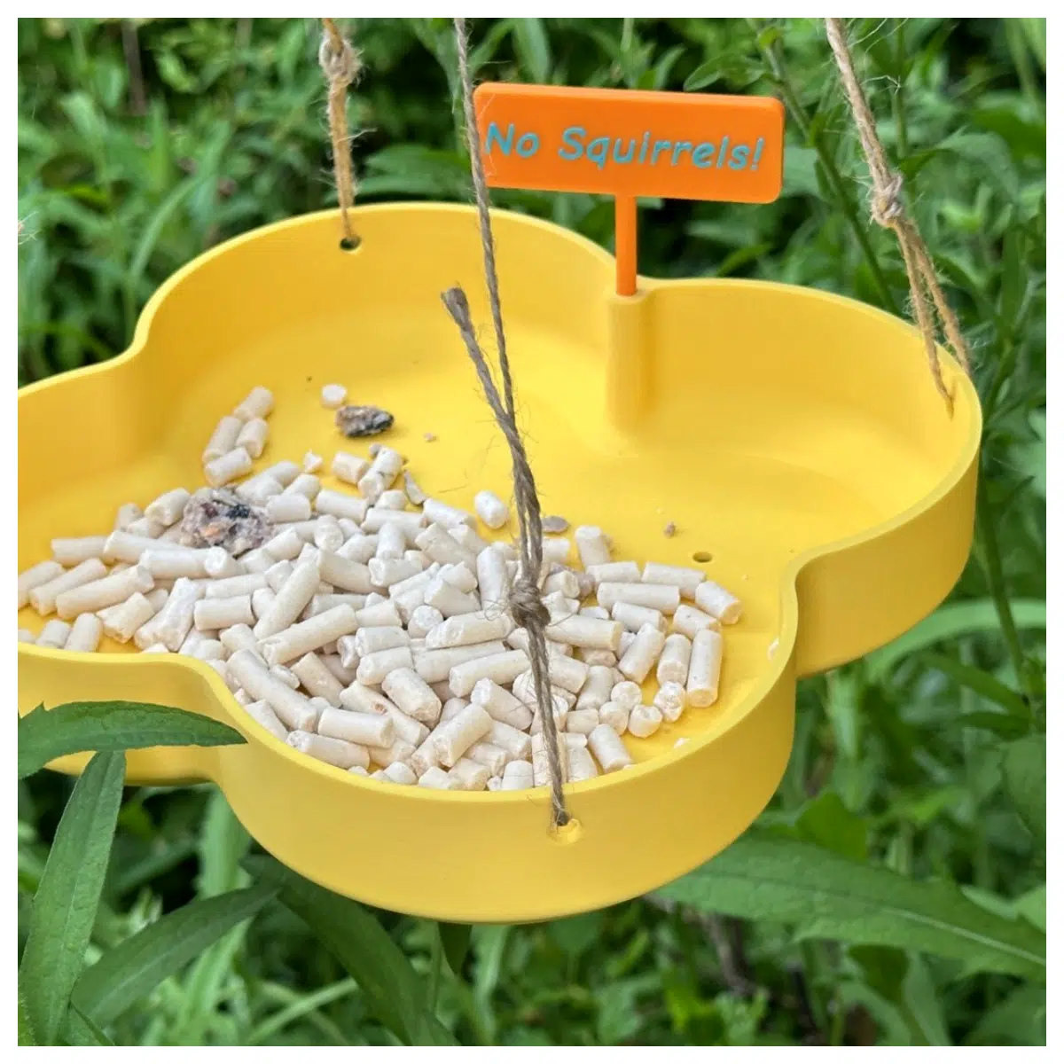 Bird Food Bowl Bird Seed Dish Parakeet Feeder Bird Supplies Bird Nest Accessories Bird Food Container Automatic Bird Feeder Cage Accessories Multi Fun