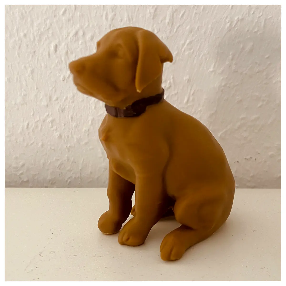 Labrador Retriever Training Puppy Young Dog Food Treats Toys