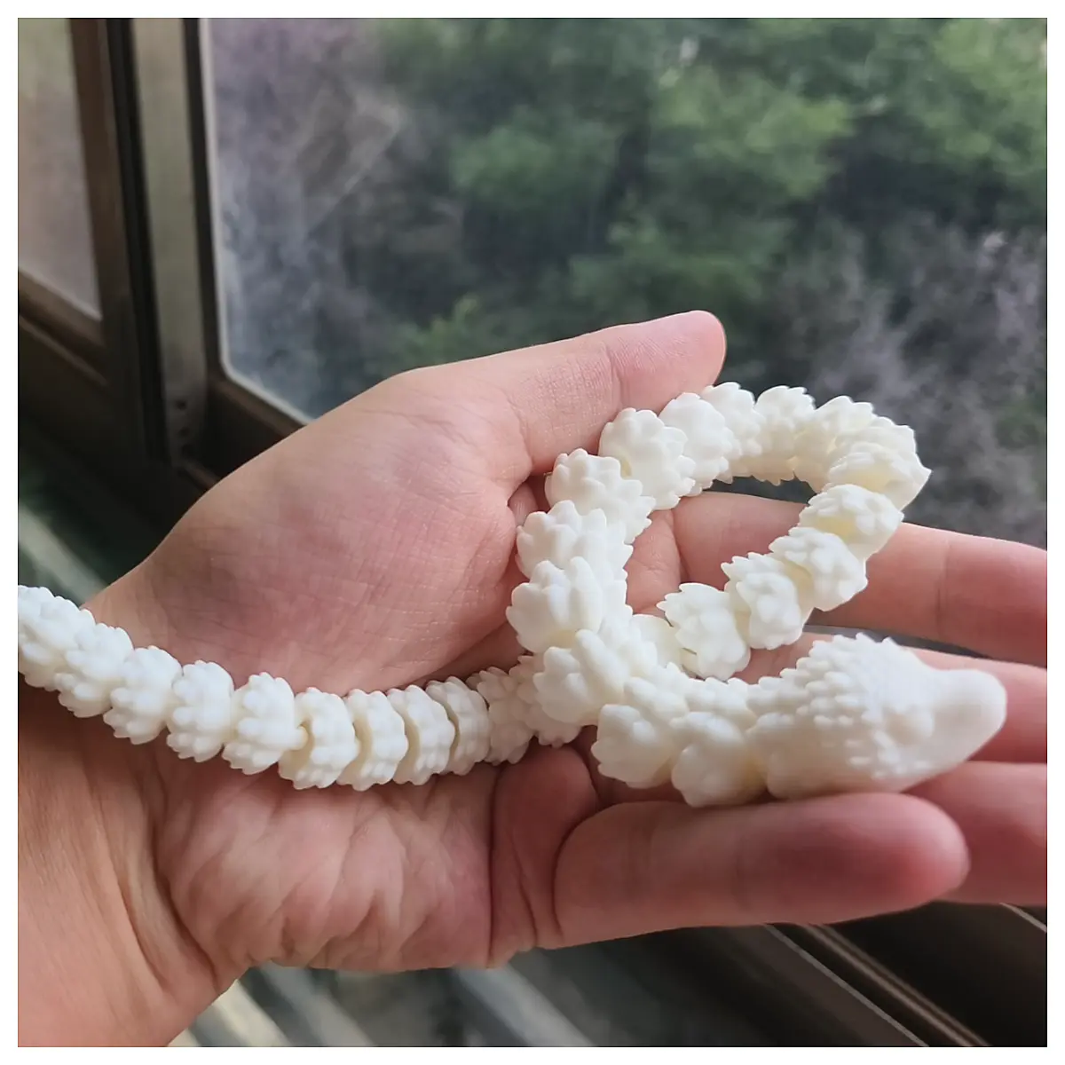 New Year Greetings White Snake Year Congrats Wishes Festive Greetings Congratulate New Year