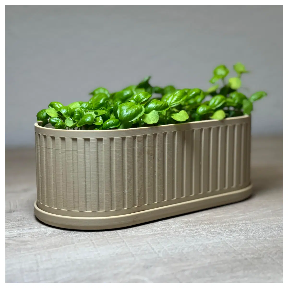 Modern Planters Drainage Base Planters Potted Plants Gardening Flowers Planting Flower Care