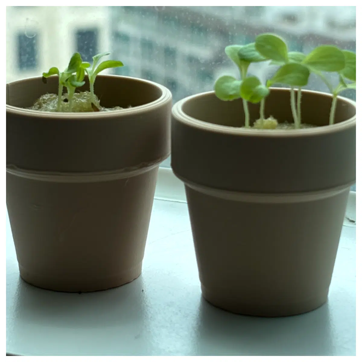 Mini 45mm Flower Pot Small Planter for Succulents Houseplants Basic Flower Container