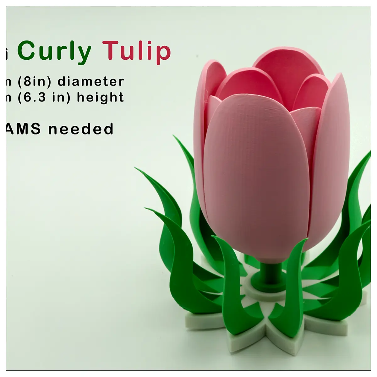 Mini Spiral Tulip Bouquet Fresh Flowers Gift Floral Design Tulip Flower Shop Tulip Flowers