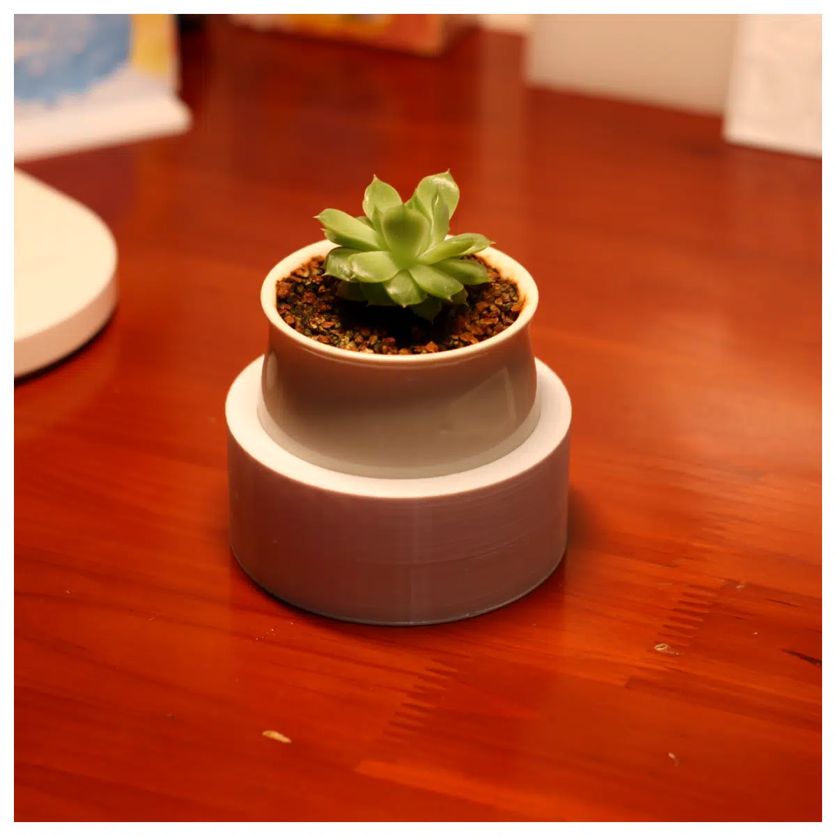 Magnetic Succulent Pots Small Magnetic Flower Pots Adhesive Plant Holders Indoor Magnetic Planter Accessories Garden Decor