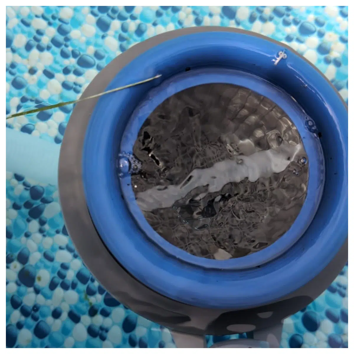 Pool Skimmer Catcher Ring Filter Cleaning Accessory Pool Maintenance Parts