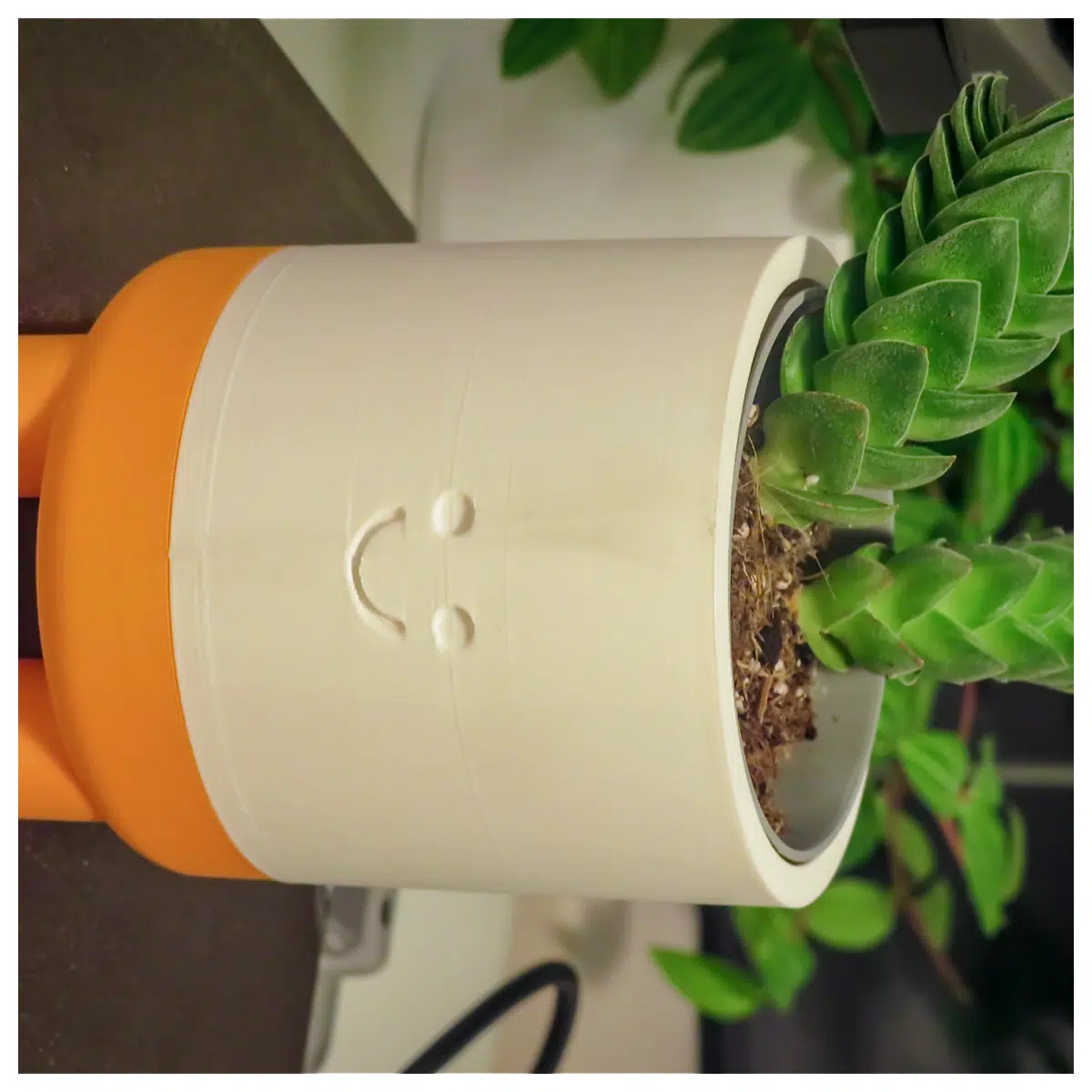 Cute Plant Pots Succulents Green Plants Flower Pots Indoor Plants Decorative Pots