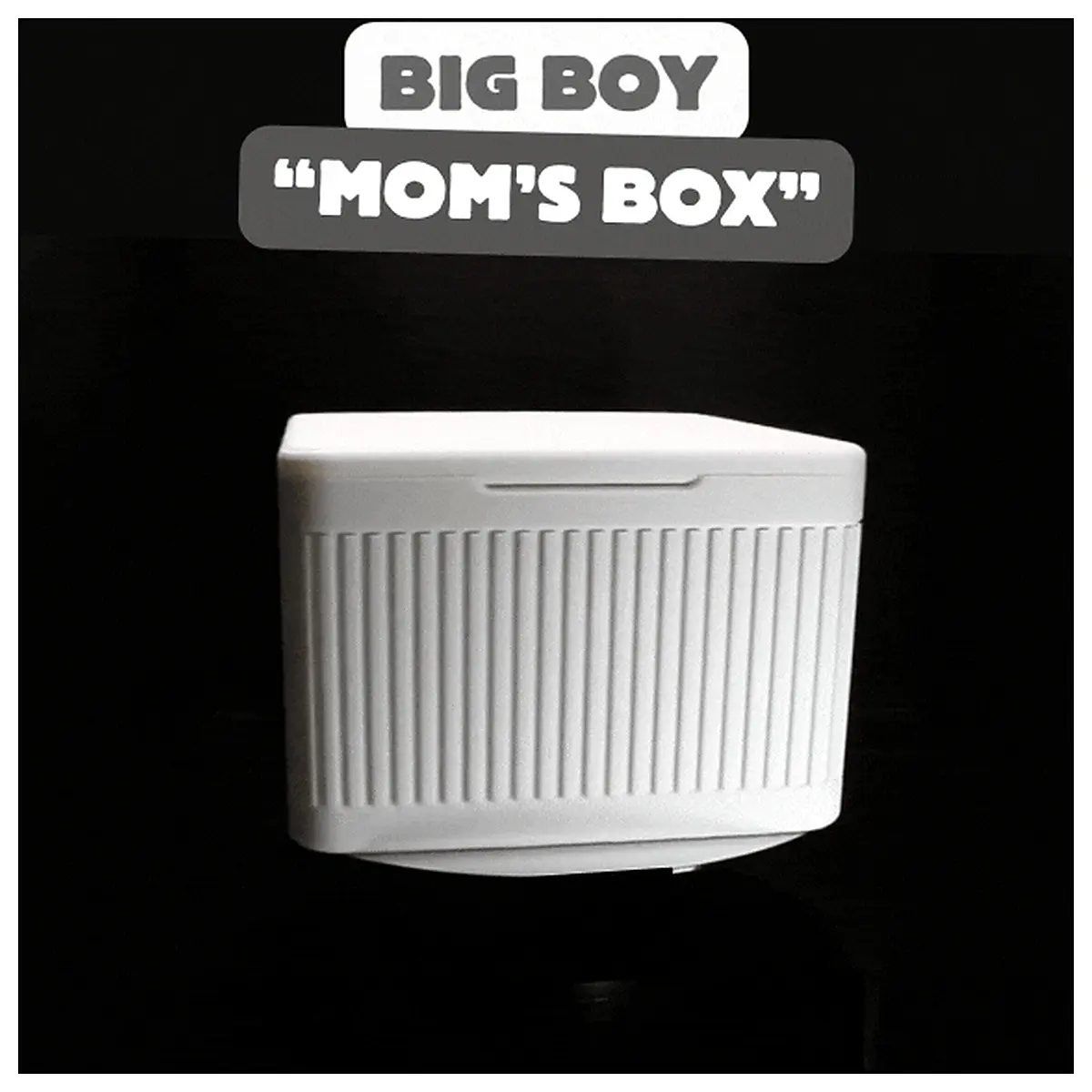 Large Storage Box Carries Mom s Love Mom s Box Storage Solutions Home Goods Versatile Box