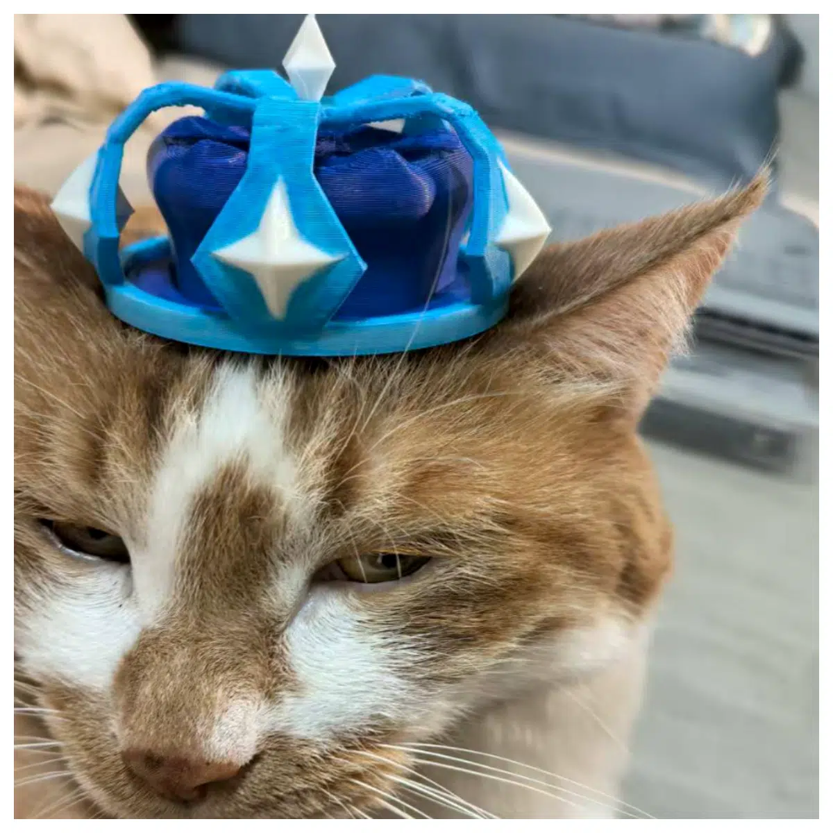 6th Anniversary Hat Accessory Cosplay Costume Decoration Gift