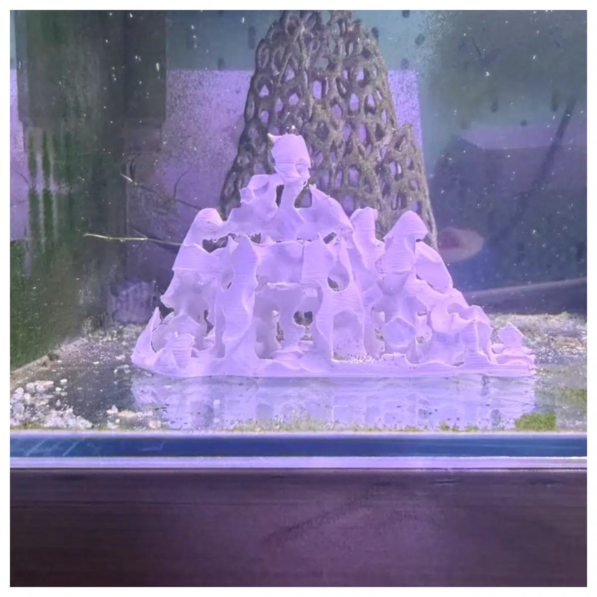 Rock Cave Shrimp Nest Hiding Place Shrimp Box Filter Purification Device Aquarium Accessories Fish Food