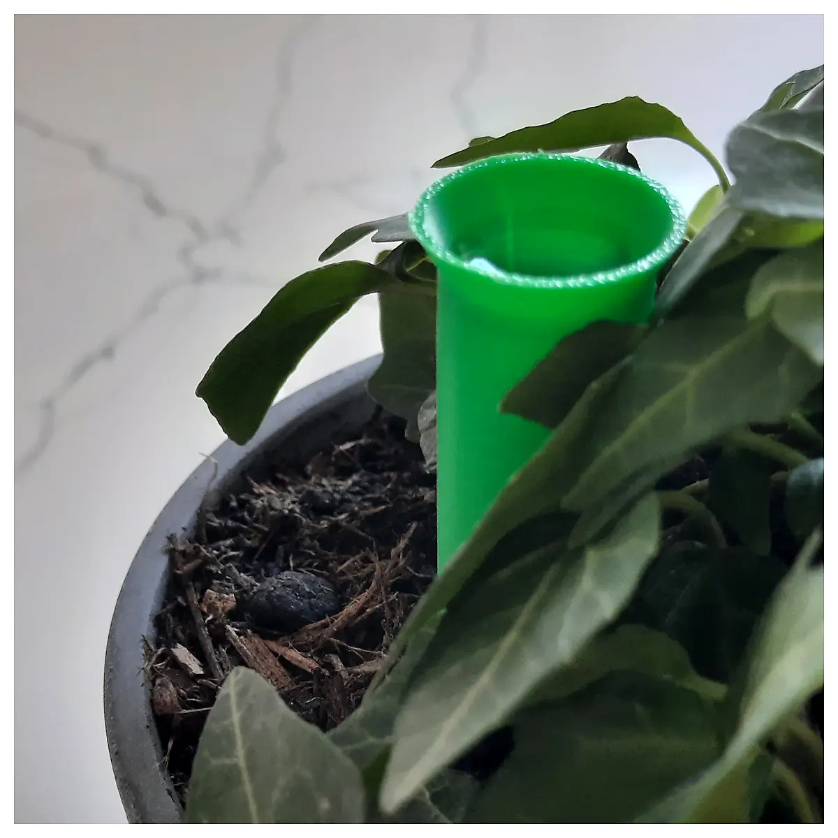 Self Watering Planter System Automatic Watering Device Plant Watering Helper Irrigation System Plant Care