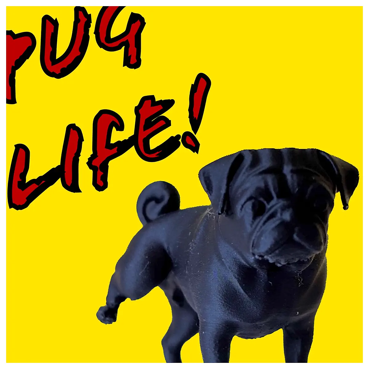 Carlino Dog Urine Problems Solution Urine Training Pet Urine Cleaning Pet Supplies Urine