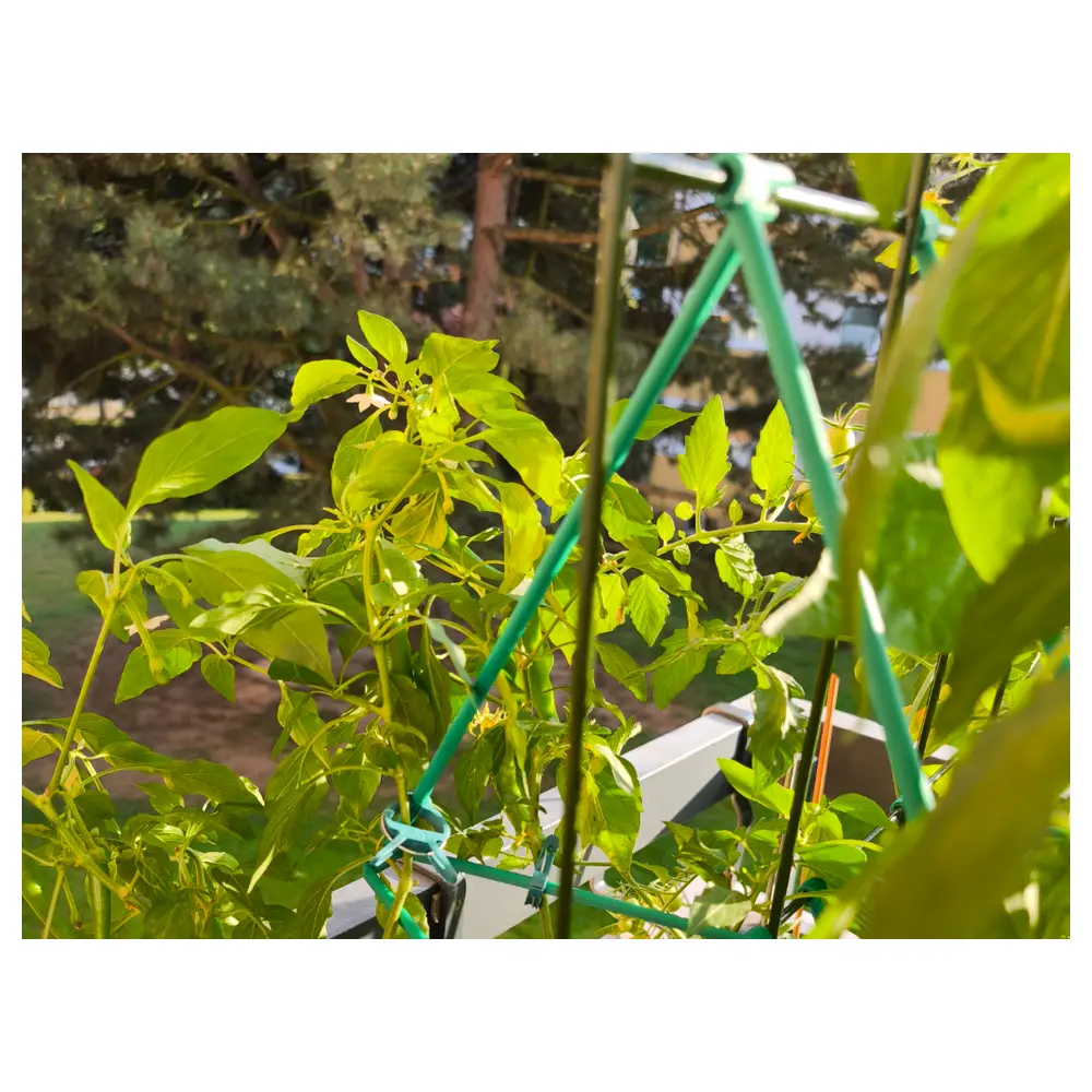 Plant Support Stake Vertical Support Growing Pole Plant Holder Green Plant Support System Plant Stakes Growing Accessories