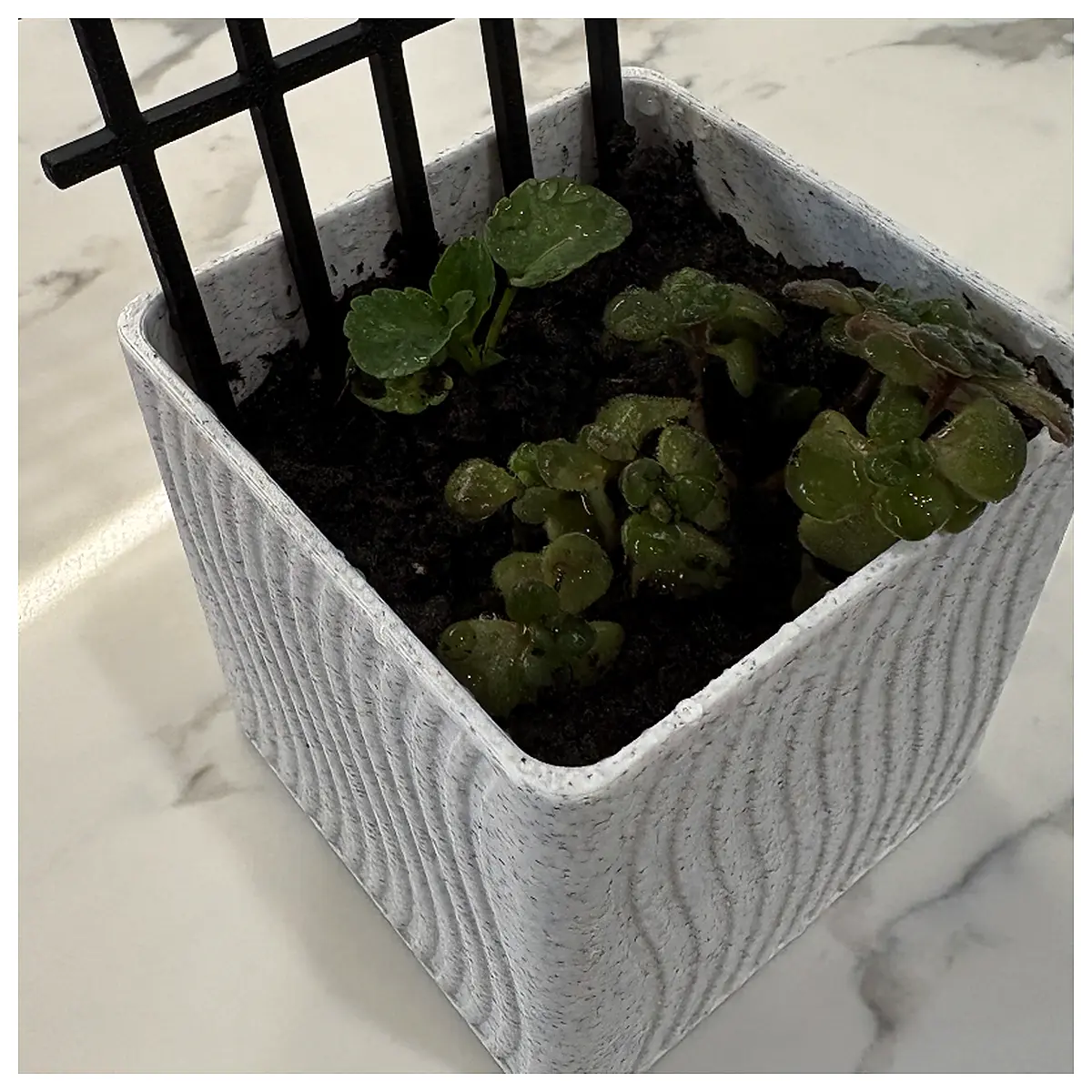 Flower Pot Stand Decorative Planters Creative Pots Plant Stand Indoor Garden Flower Holder Accessories
