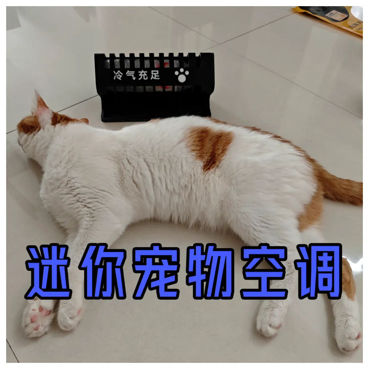 Mini Pet Air Conditioner Cooling Small Dogs Cats Portable Pet Cooling Accessories Pet Radiator Pet Cooling Device