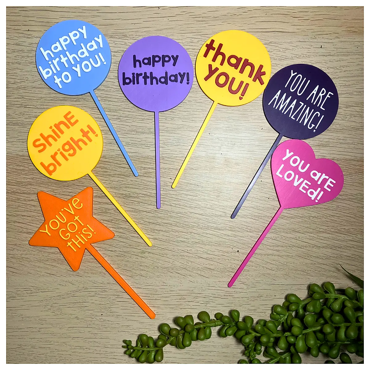 Plant Gift Encouragement Growing Potted Plants Decorative Green Plants Succulents Indoor Plants Flower Care Potting Replacements