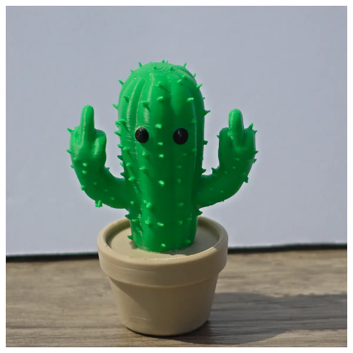Cactus Plant Care Indoor Cactus Terrarium Succulent Gardening Pruning Soil Replenishment Cactus Flowers
